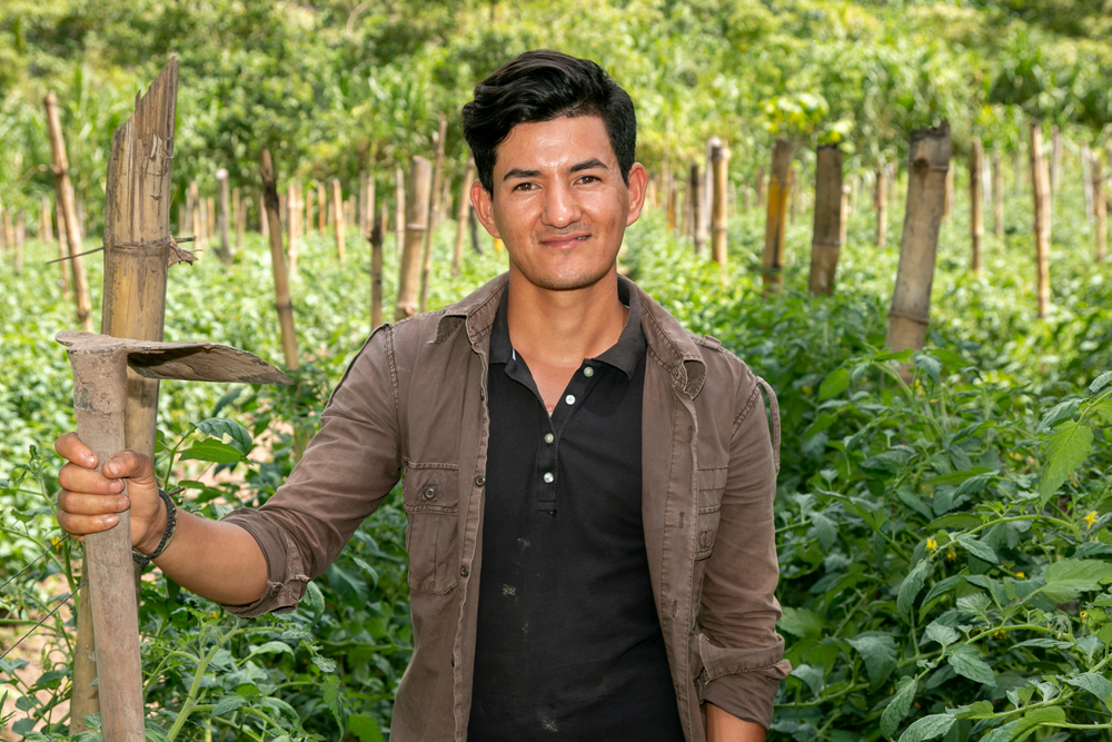 Tecnología Frutos